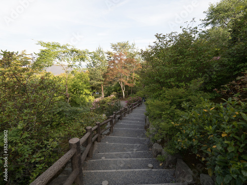 Jardines del Templo Tenryuji, en el barrio de Arashiyama, en Kioto, Japón