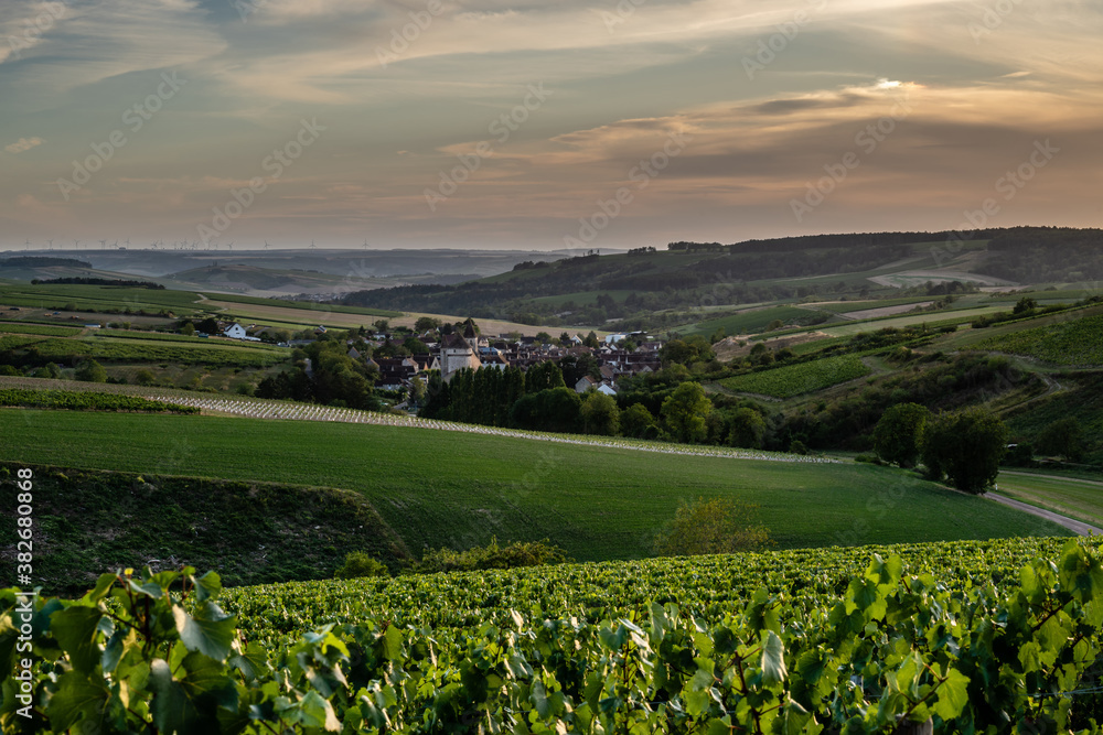 Un panorama sur un village du Chablisien, Chitry le Fort