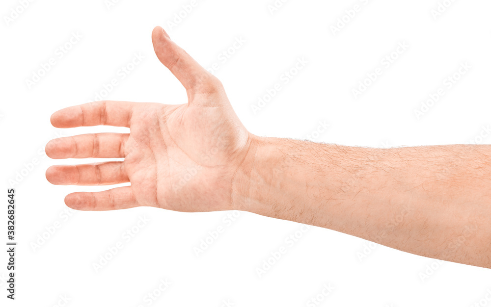 Hand on Isolated white background. Five fingers. Palm. Hand on Isolated white background. Five fingers. Palm.