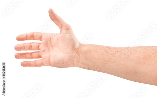 Hand on Isolated white background. Five fingers. Palm.