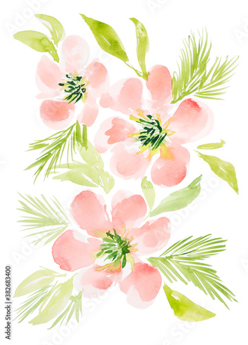 Watercolor blush flowers with spruce branches