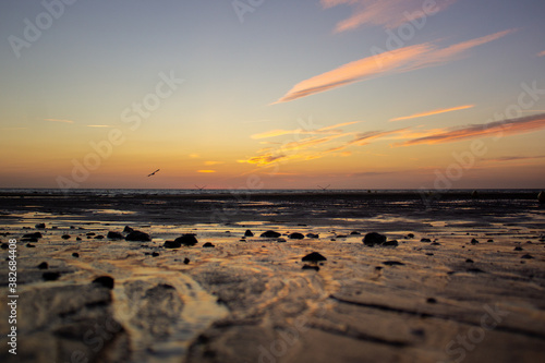 couch   de sol sur la mer  l oc  an  tons jaune et orange 