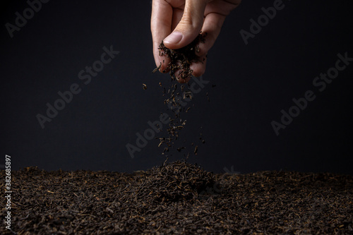 Leaf tea. a lot of loose tea. Hand sprinkles loose tea on black background photo