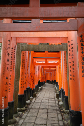 Red gate with Japanese words at Fushimi Inari Taisha, Kyoto, Japan. #382686804