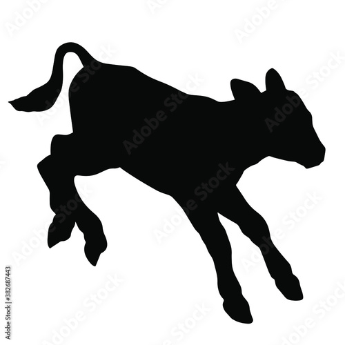 Hand drawn vector silhouette of standing calf isolated on white background. Black and white  stock illustration of baby cow.