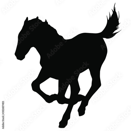 Hand drawn vector silhouette of  foal isolated on white background. Black and white  stock illustration of baby horse.
