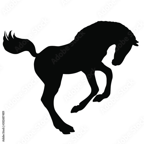 Hand drawn vector silhouette of foal isolated on white background. Black and white stock illustration of baby horse.