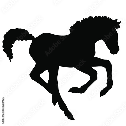 Hand drawn vector silhouette of  foal isolated on white background. Black and white  stock illustration of baby horse.
