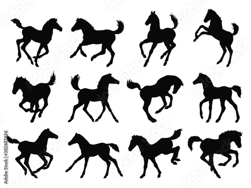 Foto Hand drawn vector set of silhouettes of  foal isolated on white background