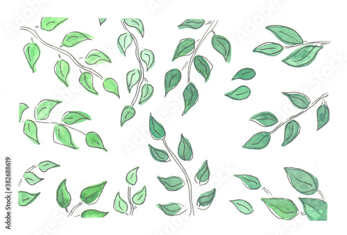 Tender spring branch with young leaves. Watercolor illustration