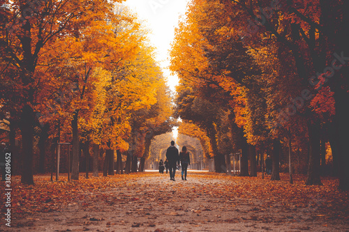 Golden autumn in a park with paths and benches, people walking in nature.