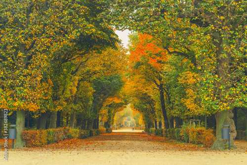 Golden autumn in a park with paths and benches, people walking in nature. photo