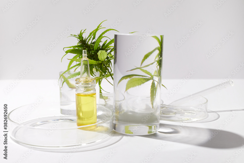 Cbd htc canabbis oil in laboratory. Concept of medicine. Cbd htc canabbis oil in laboratory. Concept of medicine.