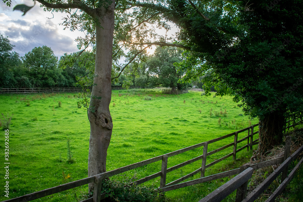 Green Irish Countryside