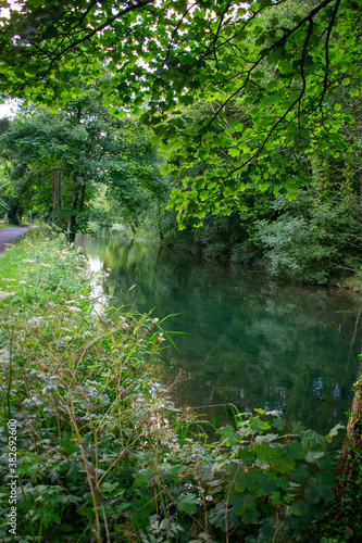 Old Irish Canal