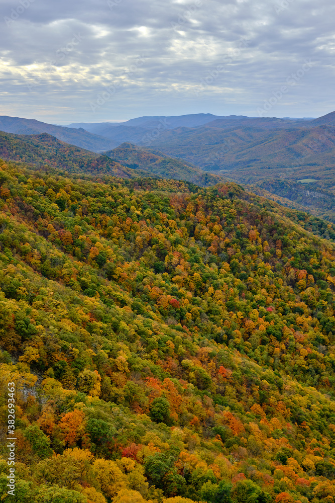 An aerial view down a valley in Seneca Rocks, WV shows deciduous trees in peak foliage with a cloudy sky in this vertical landscape