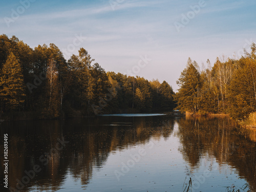 Forest wild lake and autumn forest landscape