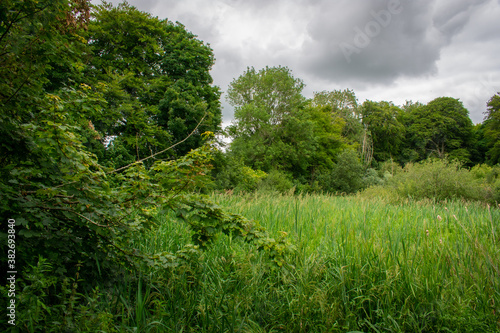 Green Irish Countryside