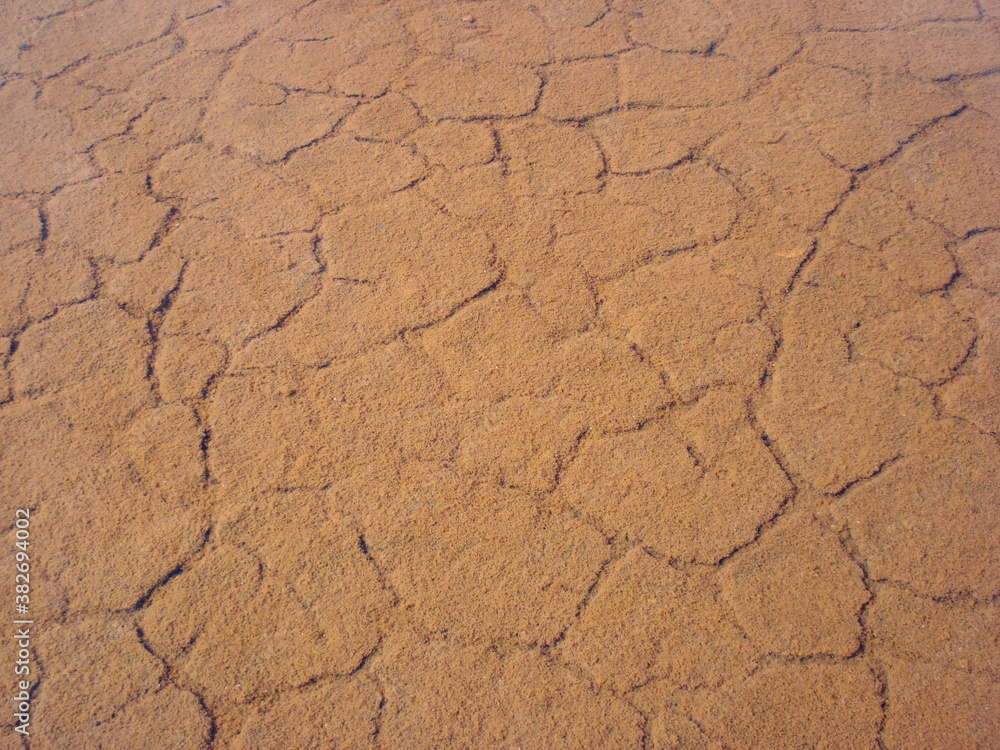 view of cracked ground covered in water, in Aveiro’s saline view of cracked ground covered in water, in Aveiro’s saline