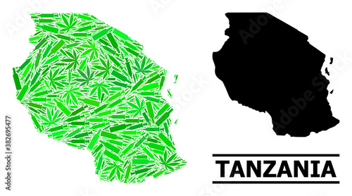 Addiction mosaic and solid map of Tanzania. Vector map of Tanzania is organized from randomized vaccine doses, herbal and alcoholic bottles.