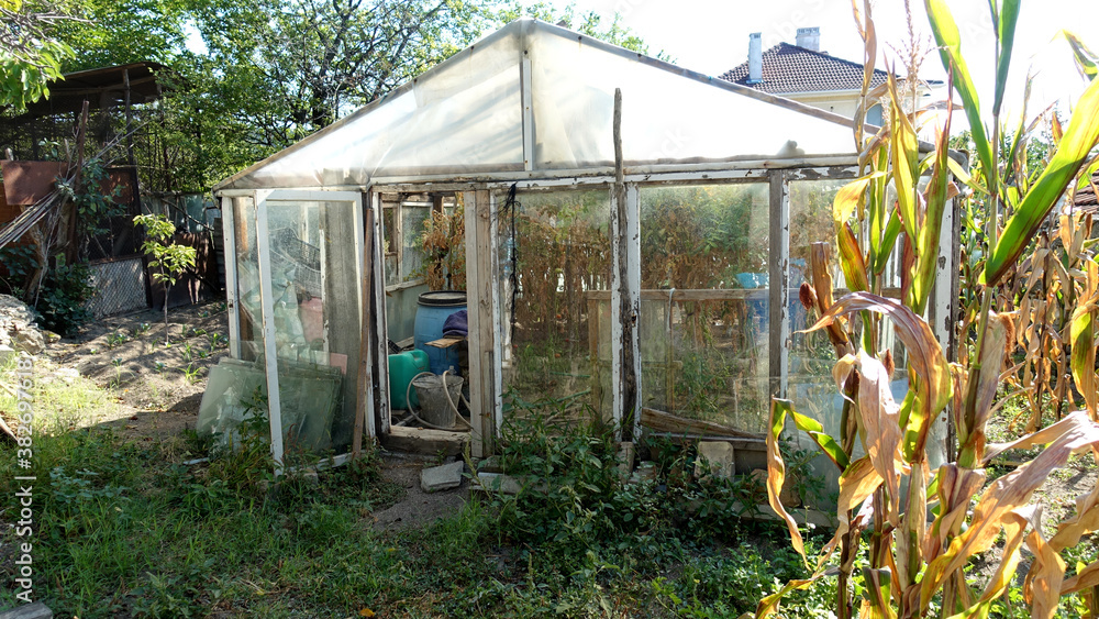 Greenhouse in a garden in the summer. Greenhouse in a garden in the summer.