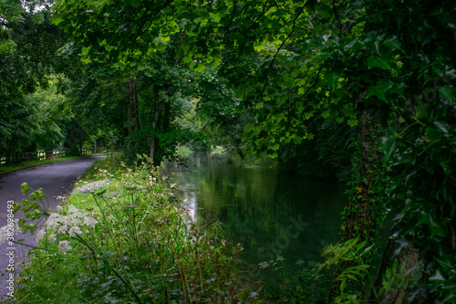 Beautiful Irish Canal and Greenery