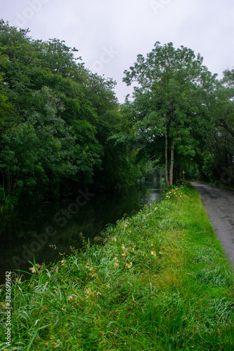 Beautiful Irish Canal and Greenery