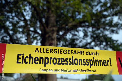 Eichenprozessionsspinner: Offizielle Absperrung einer Eiche mit Warnhinweis: Vorsicht. Allergiegefahr durch Eichenprozessionsspinner!