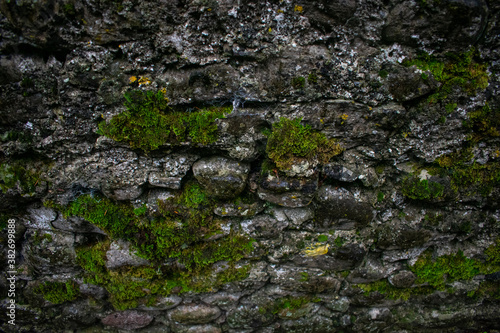 Ancient Celtic Stone Wall with Foliage