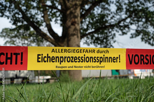 Eichenprozessionsspinner: Offizielle Absperrung einer Eiche mit Warnhinweis: Vorsicht. Allergiegefahr durch Eichenprozessionsspinner!