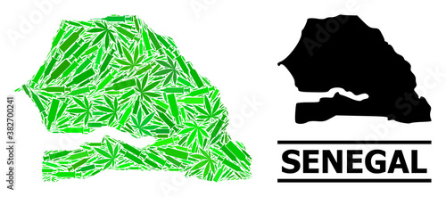 Drugs mosaic and solid map of Senegal. Vector map of Senegal is created of scattered vaccine doses, herb and alcoholic bottles. Abstract territorial scheme in green colors for map of Senegal.