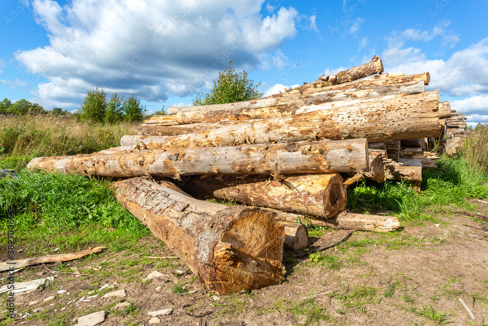 Broken old cut tree logs piled up near a forest road Broken old cut tree logs piled up near a forest road