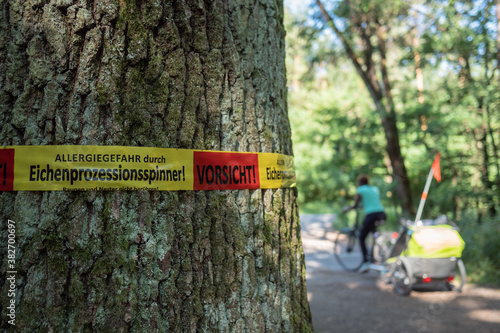 Eichenprozessionsspinner: Offizielle Absperrung einer Eiche mit Warnhinweis: Vorsicht. Allergiegefahr durch Eichenprozessionsspinner!