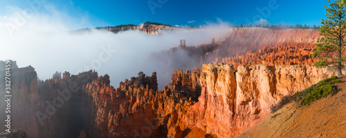 Fog in Bryce Canyon National Park  Utah  Usa  America