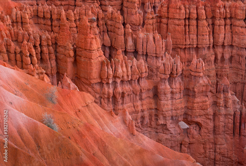 Bryce Canyon National Park, Utah, Usa, America