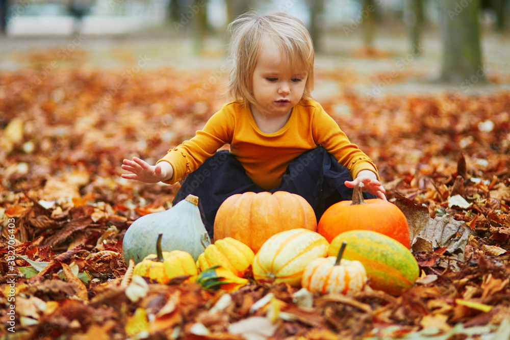 toddler girl playing with colorful pumpkins toddler girl playing with colorful pumpkins