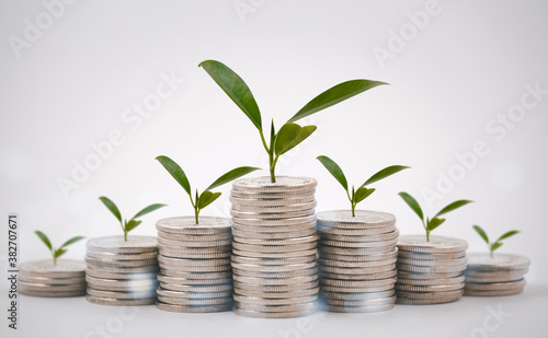 Coins stack and leaf with line graph business connect on white background, Saving ideas and investment budget, Business saving money concept,Save money for prepare in the future.