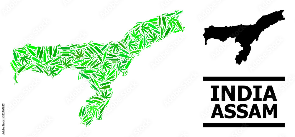 Addiction mosaic and usual map of Assam State. Vector map of Assam State is constructed of scattered injection needles, ganja and drink bottles.