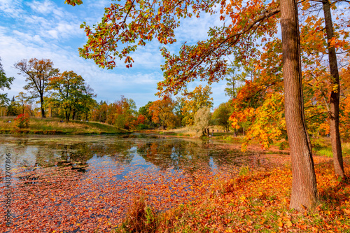 Pond in Alexander park in autumn, Pushkin (Tsarskoe Selo), Saint Petersburg, Russia