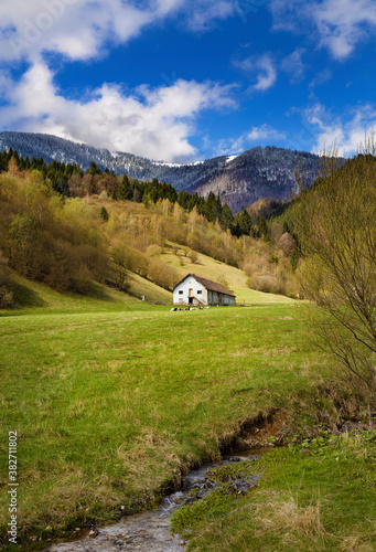 Wallpaper Mural Near Vlkolinec, Slovakia Torontodigital.ca