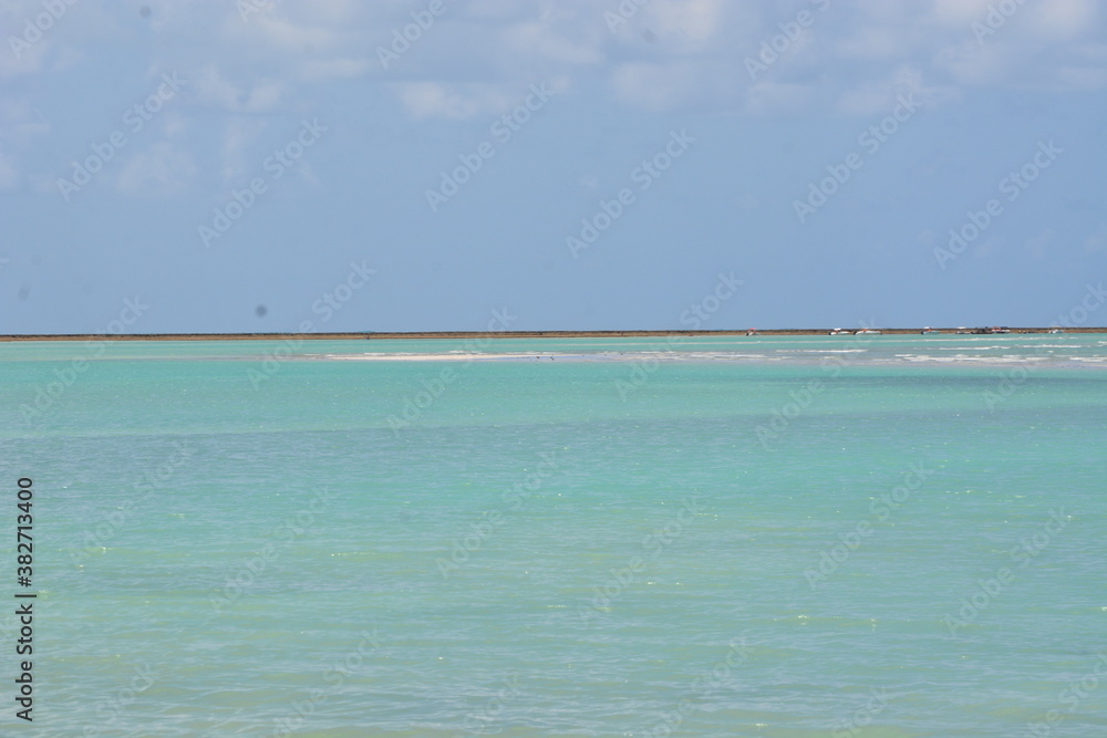 Fototapeta premium maragogi - alagoas