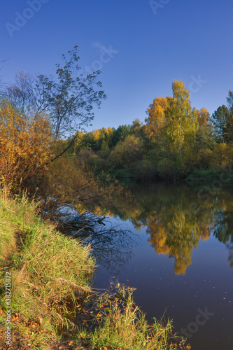 Autumn landscape, forest trees are reflected in calm river water against a background of blue sky and white clouds. © Anatoliy