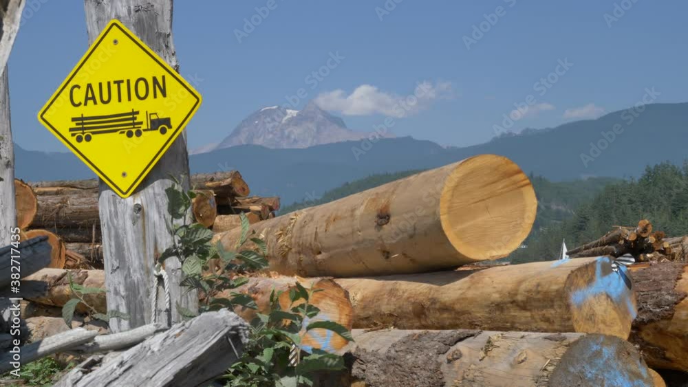 Medium, a butterfly on a marked log of timber and a caution sign, British Columbia Medium, a butterfly on a marked log of timber and a caution sign, British Columbia