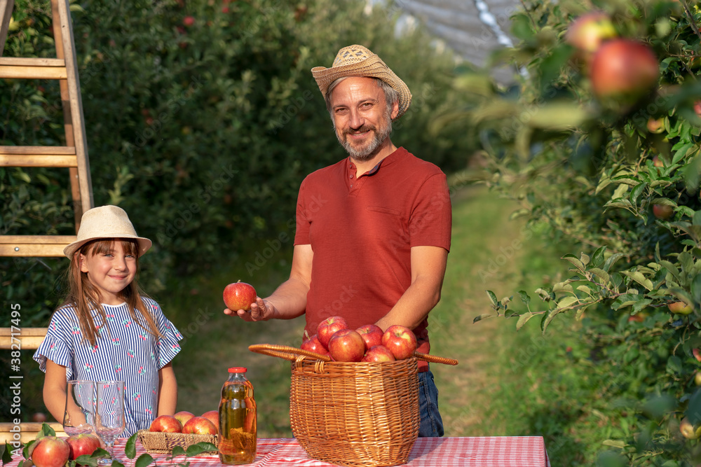 Obraz premium Farmer and His Little Daughter With A Basket of Appetizing Red Apples and Apple Juice on Table in Sunny Orchard