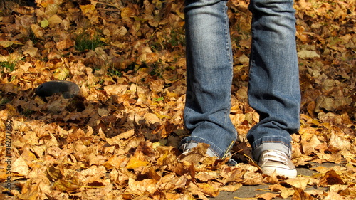 Donna solitaria che passeggia su un tappeto di foglie in autunno