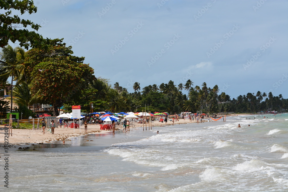 Obraz premium maragogi