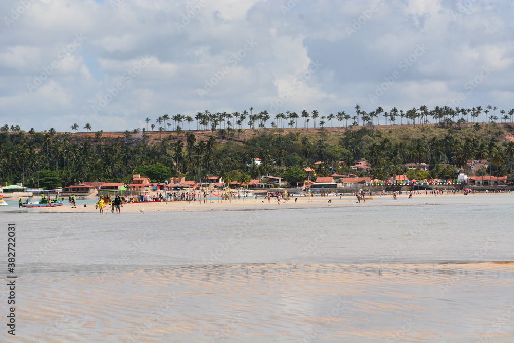 Fototapeta premium maragogi - alagoas