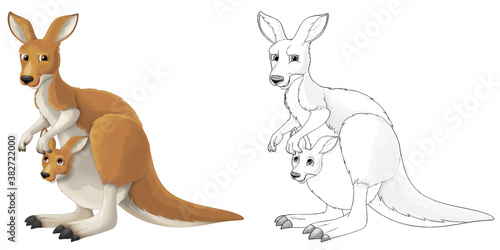 cartoon sketch scene with kangaroo on white background - illustration