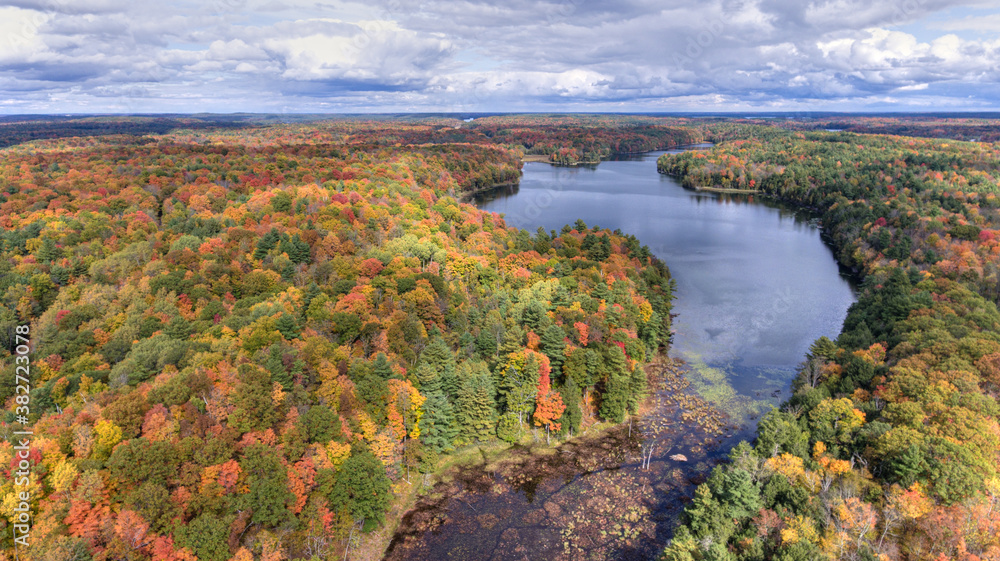 Fall colours in rural Ontario