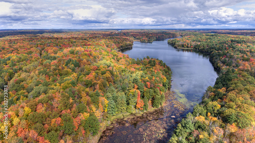 Fall colours in rural Ontario